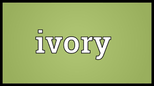 Tusks are elongated, continuously growing front teeth that protrude well beyond the mouth of certain mammal species. Ivory Meaning Youtube