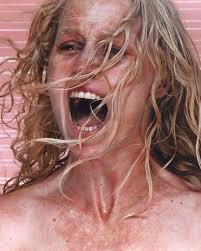 Remembering Rosemary Laing, Australian contemporary artist