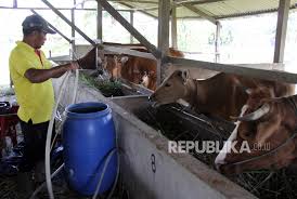 Lowongan kabupaten tulungagung kali ini mencakup untuk perusahaan besar, kecil, karyawan swasta hingga negeri. Sejumlah Ternak Sapi Mati Mendadak Di Tulungagung Repjogja