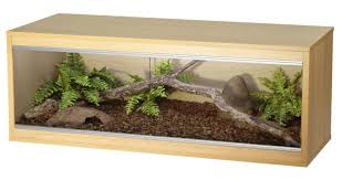 Correct Ball Python Terrarium Size And Setup Reptile Terrarium Ball Python Care Terrarium