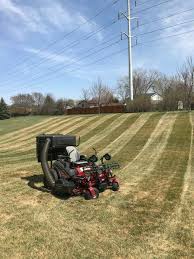 Manual dethatching is the most physically strenuous type of dethatching. Common Questions About Dethatching Your Lawn Minnesota