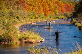 We have the beautiful mena arkansas cabins with breathtaking views here at clear sky ridge. Best Foliage In Oklahoma Talimena Scenic Byway Mccurtain County