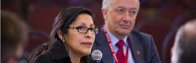 Rosa Galvez 940 X 305