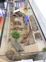 Pin On Enclosure Ideas