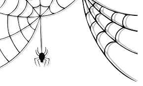 Image Result For Spider Web Drawing Spider Web Drawing Spider Web Web Tattoo