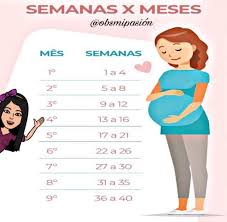 22 semanas de embarazo cuanto son en meses. Medicina Cuantas Semanas Dura El Embarazo Cuanto Facebook