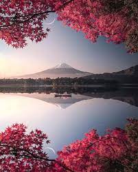 Reddit The Front Page Of The Internet Beautiful Nature Wallpaper Nature Photography Beautiful Landscapes