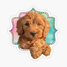 * 1 serving spoon * 1 slotted serving spoon * 1 plain spatula * 1 slotted spatula * 1 fork each tool measures approximately 13. Australian Labradoodle Gifts Merchandise Redbubble