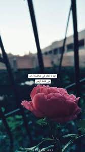 apps development pinwire pin by zoz on صور pinterest arabic quotes quotes and islamic quotes 7 mins ago arabic arabic quotes quotes app wallpaper quotes