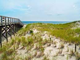 We did not find results for: A Boardwalk Leading To The Beach In Island Beach State Park Along The Jersey Shore Stock Photo Picture And Royalty Free Image Image 50990673