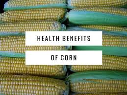 Check spelling or type a new query. Health Benefits Of Corn Gardening Channel