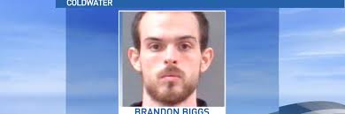 Woman charged with allowing suspected child molester access to 8-year-old  girl