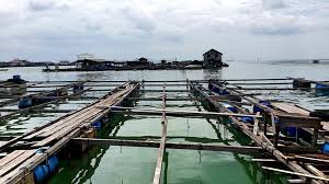 Sitting 15 nautical miles off sabak bernam, malaysia, the kelong is a 15 minute ride and 20 minutes drive from sabak bernam to the jetty which is located at bagan nakhoda omar. 5 Exciting Kelong In Johor Johor Now