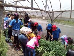 Lowongan kerja guru sekolah surabaya. Imanuel Homeschooling Surabaya