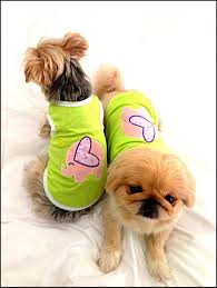 006 Filli Tshirt Acik Yesil Dog Dogfashion Petfashion Www Kemique Com Kopek Urunler Minder