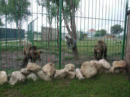 A Doua Sedinţă Cu Părinţii La Zoo Bihon