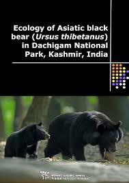 Asiatic Black Bear Range Map Pdf Ecology Of Asiatic Black Bear Ursus Thibetanus In Dachigam National Park Kashmir India