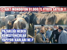 Sivas Sarkisla Hayvan Pazari Fiyatlari Bolum 3 Cil Cil Paralar Bozulmasin Aralar Youtube