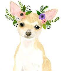 Acuarela Chihuahua Perro Acuarela Acuarela Animales Ninos Chihuahua Art Watercolor Animals Cute Drawings