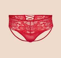 Ramona Dark Red Bikini Panty, XS-4X | Adore Me