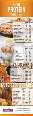 Data Chart High Protein Food Meat Dairy Beans Legumes