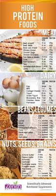 data chart high protein food meat dairy beans legumes