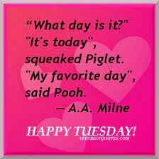 See more ideas about tuesday quotes, tuesday, tuesday greetings. Hilarious Tuesday Quotes Quotesgram