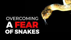 Overcoming A Fear Of Snakes In 3 Minutes - Youtube