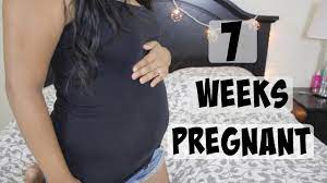 Check spelling or type a new query. 7 Weeks Pregnant Baby 3 Youtube