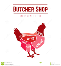 Cuts Of Chicken Butcher Diagram Stock Illustration