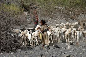 Search the world's information, including webpages, images, videos and more. Top 10 Facts About Living Conditions In Djibouti The Borgen Project