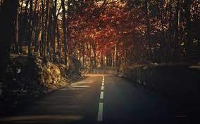 Perfect screen background display for desktop, iphone, pc. 14 4k Wallpapers For Pc Ideas