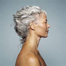 Grey Hair Messy Bun Check Aging Hair Beautiful Gray Hair Prevent Grey Hair
