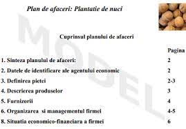 Tocmai de aceea, poate ar fi util sa privim in perspectiva, din. Model Plan De Afaceri Pentru Infiintarea Unei Plantatii De Nuci Plandeafacere Ro