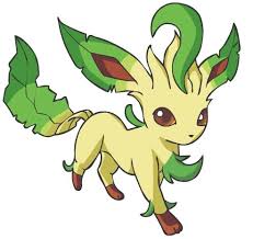 Leafeon Grass Pokemon What Eeveelution Are You Pokemon Pokemon One