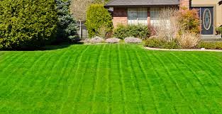 Larger lawn care businesses tend to charge crazy prices and charge heavy fees on top of their base costs. Lawn Care Service Victoria Bc