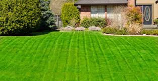 Maybe you would like to learn more about one of these? Lawn Care Service Royal Oak Bc