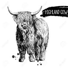 Free Free 225 Scottish Highland Cow Svg SVG PNG EPS DXF File