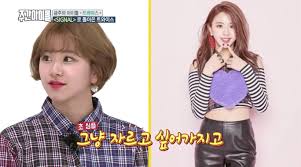 ‹𝟹﹕ chaeyoung's short hair⠀ ⠀⋆ a thread #twice #트와이스. Twice S Chaeyoung Explains Why She Cut Her Hair Short And Who Inspired Her Soompi