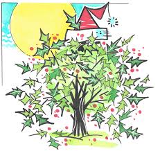 Check spelling or type a new query. Spring Is Right Time To Severely Prune Holly Bush Into Christmas Tree Shape