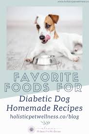 Some healthy meat to feed your dog are lamb, chicken, turkey, beef and fish, as these are all high in protein. My Favorite Foods For Diabetic Dog Food Homemade Recipes Holistic Pet Wellness