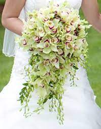 Which is the best flower for a wedding bouquet? Love The Cascading Orchids Flower Bouquet Wedding Gorgeous Wedding Bouquet Orchid Bouquet