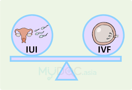 We did not find results for: Semua Soalan Anda Mengenai Ivf Dijawab Oleh Doktor Erufu Care