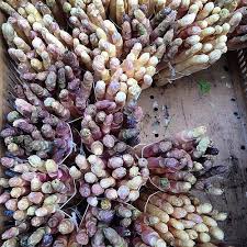 White Asparagus Paris White Asparagus Asparagus Fruit