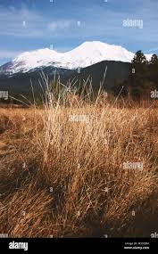 Mount shasta snow hi-res stock photography and images - Alamy