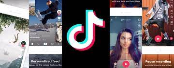 3 Reasons Why Tiktok Excels At Growing Brands Awareness Engagement Amsive Digital