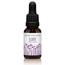 Findhorn Grass Of Parnassus Parnasia Esencia Floral 15 Ml Aurum Wellbeing