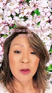 A posição de dormir dos cachorros: O que significa?