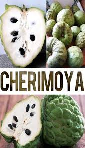 Hugedomains Com Cherimoya Health Fruit