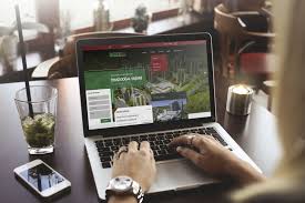 lazerisi business web design build web design